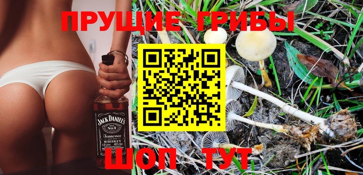 Псилоцибиновые грибы Magic Shrooms  Псилоцибиновые грибы Magic Shrooms  Миасс  Вход с VPN 